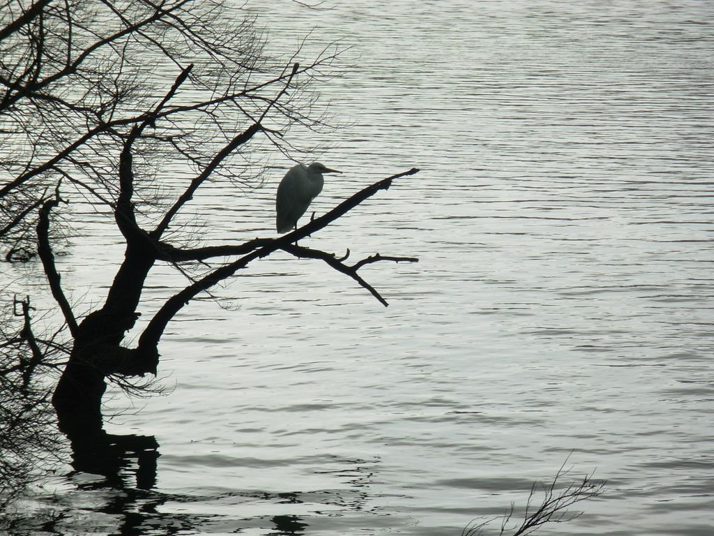 Anatori Wetland View Park 빌라 외부 사진
